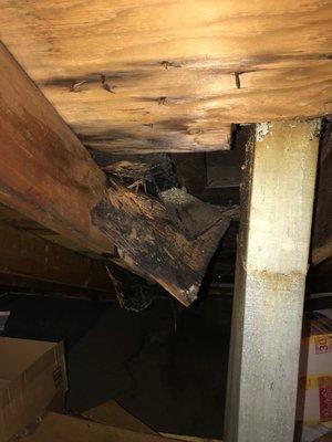 Eagle Eye Home Inspection