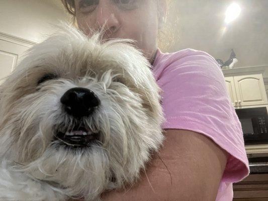 Town & Country Animal Hospital