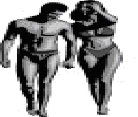 Focused Mind Fit Body