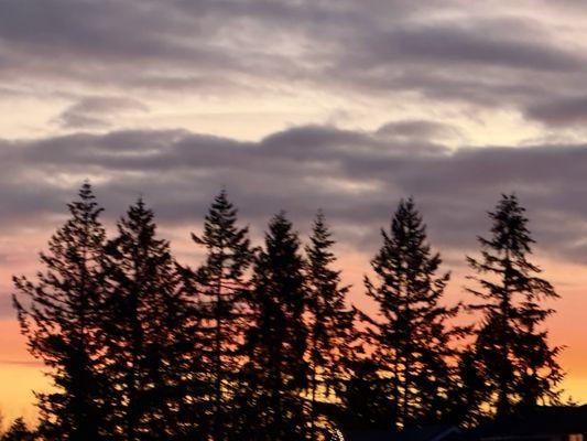 Sunset is gorgeous tonight!