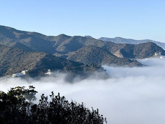 Cartopia Golf Cart Rental