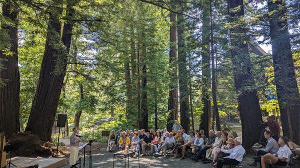 Worship in the Redwood Grove