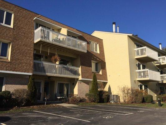 American Robin Cabinet Painting