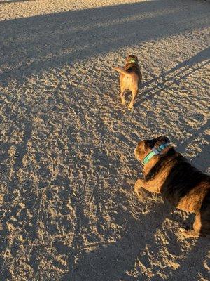 The girls just wanna have fun