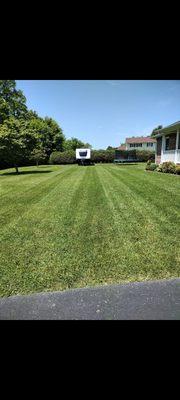 Estate Lawn Maintenance