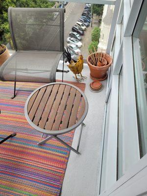 Coe Commercial Cleaning