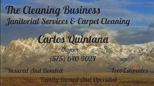 The Cleaning Business