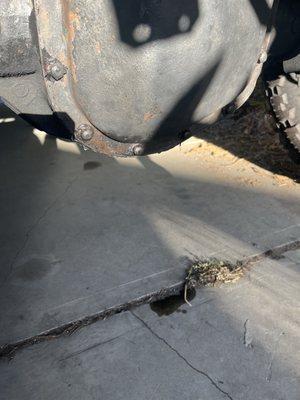 Meineke Car Care Center