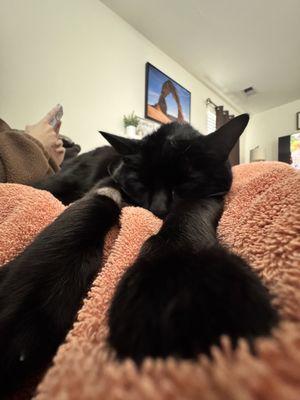 Live Oak Veterinary Hospital