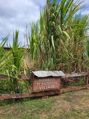 Hawaii's Plantation Village