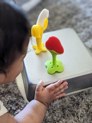 Curious Minds A Family Daycare