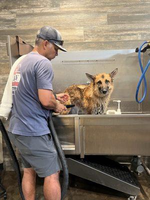 Carlsbad Pet And Feed - Carlsbad Village