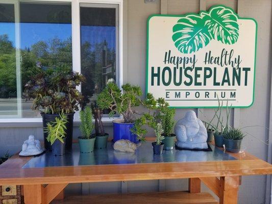 Located right next to Russian River Realty on the corner of Main Street and Armstrong Rd.