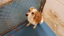 West Allis Veterinary Clinic