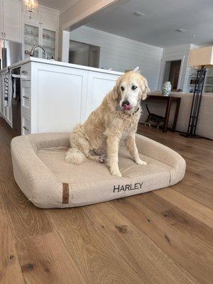 Gulf Breeze Animal Hospital