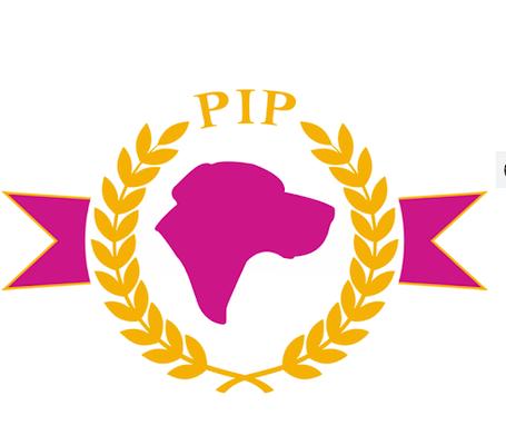 Pretty Important Pets - Canine Behavior