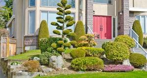 Lawn Island Professional Landscaping