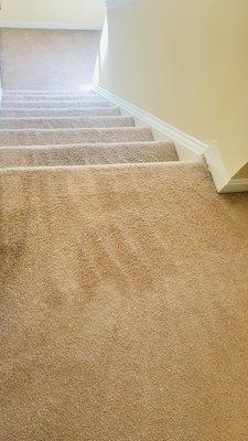 DLS carpet cleaning