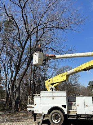 Tommy Finchams Tree Service