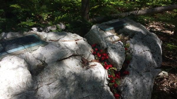 Black Mountain Forest Recreation Area