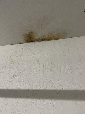 Roofing Repair/Replace