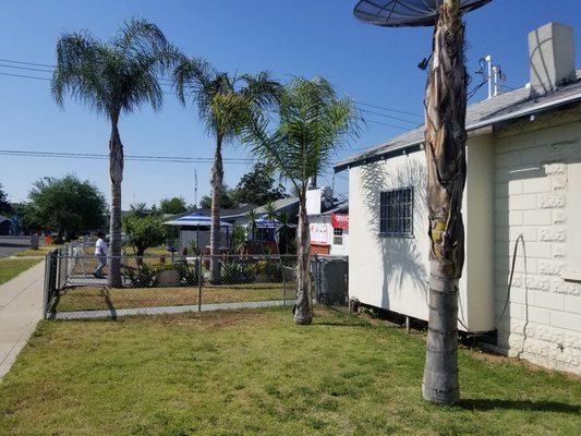 Great Authentic Salvadorian Food