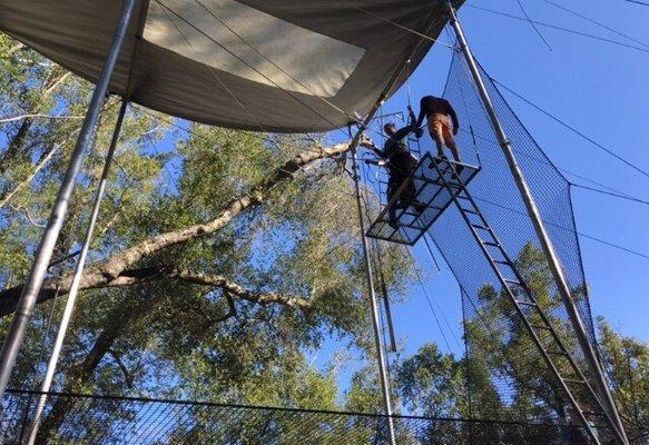 Trapeze Pro