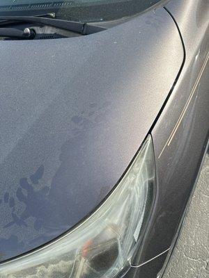 Buckhead Collision Inc