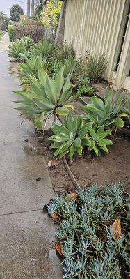 Venice United Methodist Church