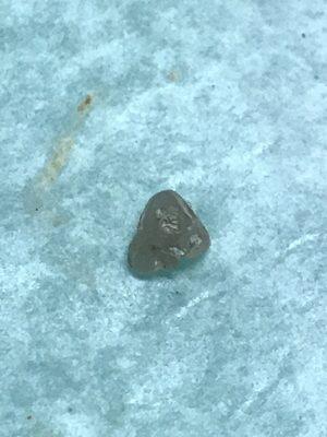 The rock from the bean and cheese taco.