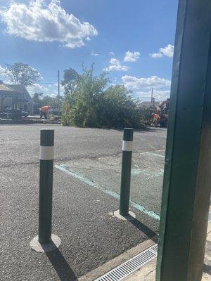 Cholula Tree Service