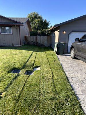 Elite Lawn Care