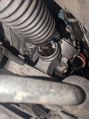 Black accordion Rubber they zipped tied