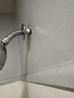 Eller Mount Pleasant