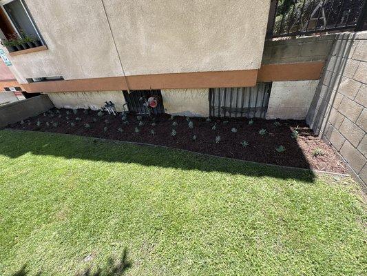 Medina Landscape & Consulting