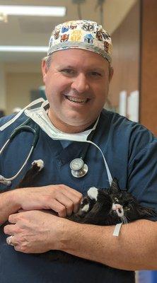 Gig Harbor Veterinary Hospital