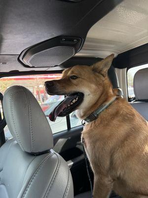 Camp Bow-Wow Kennels