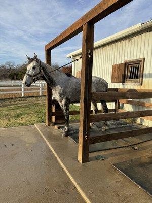 North Dallas Equestrian