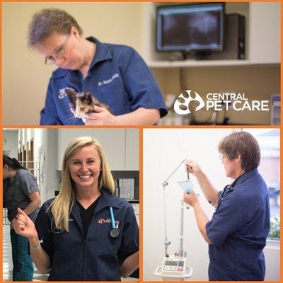 Our amazing doctors help make us "Heads and Tails Above the Rest"!