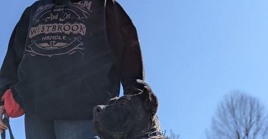 Hideaway Kennels Westbrook Canine Training