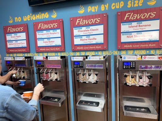 Sweet Savannah's Frozen Yogurt & Toppings