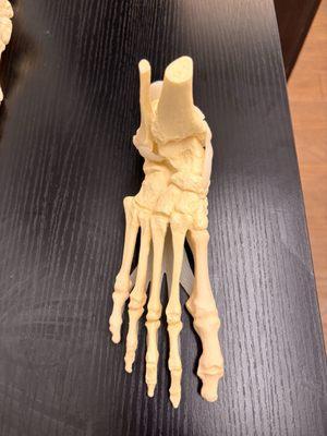 Great Lakes Foot and Ankle Institute