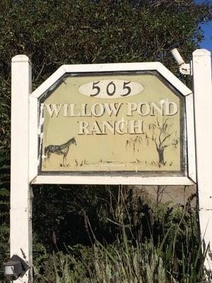 Willow Pond Ranch