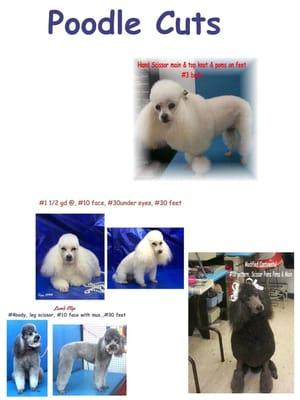 Grooming by Wilma