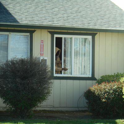 Ridgeview Apartments