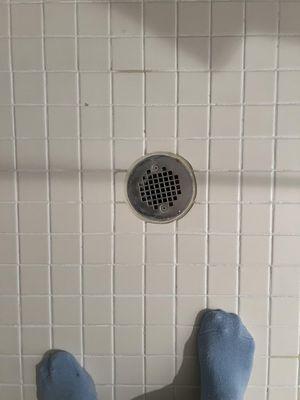 see darker lines and spots