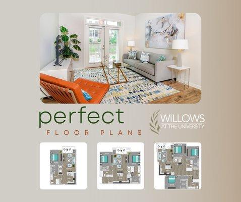 Willows at The University