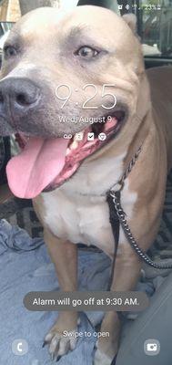 Acres North Animal Clinic