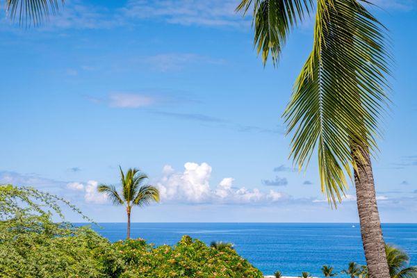 Live and breathe Aloha