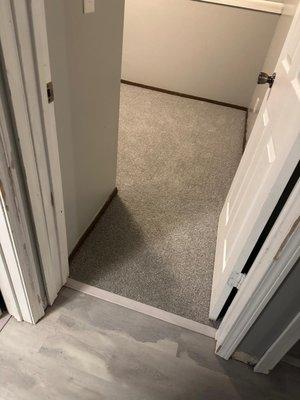 Liam Carpeting & Flooring